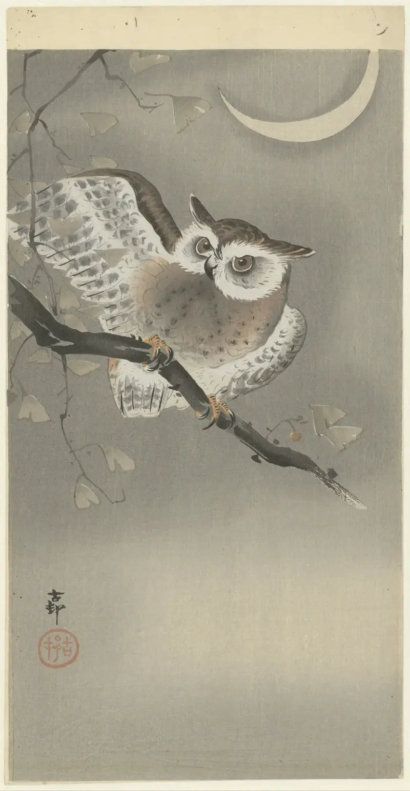 Long-eared owl in ginkgo av Ohara Koson
