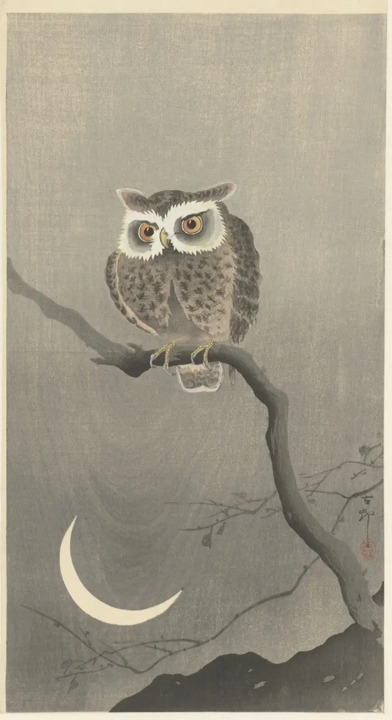 Long-eared owl on bare tree branch av Ohara Koson