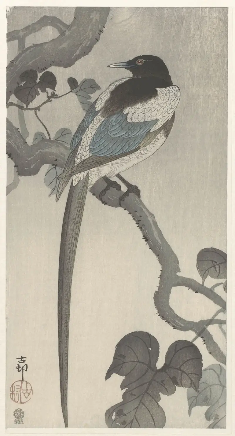Straka na větvi, 1900 – č. 2, Ohara Koson
