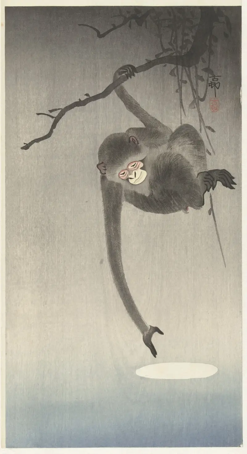 Opice a odraz měsíce, Ohara Koson