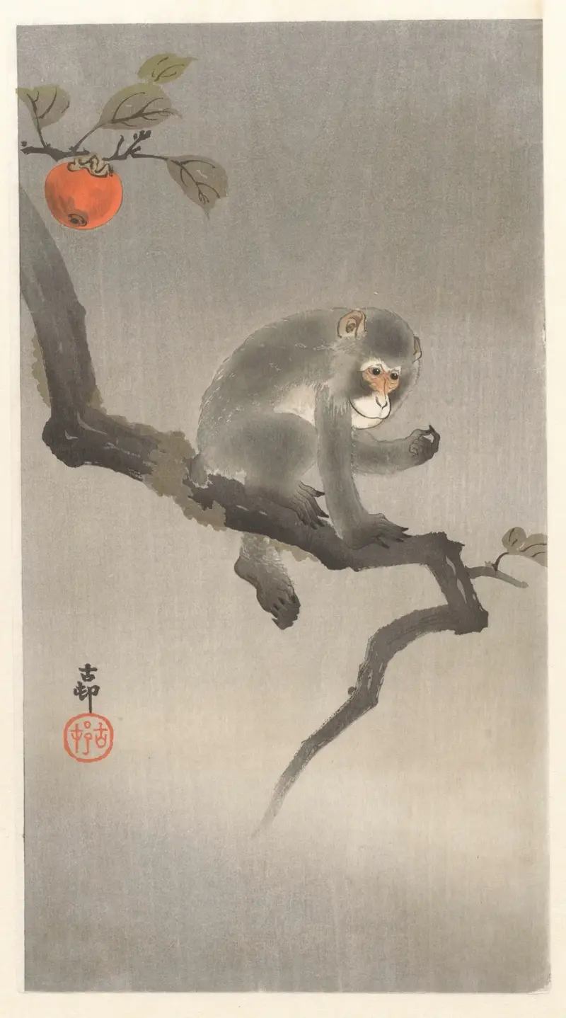 Opička na kaki stromě, Ohara Koson