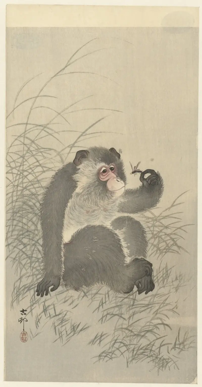 Opice s hmyzem, Ohara Koson