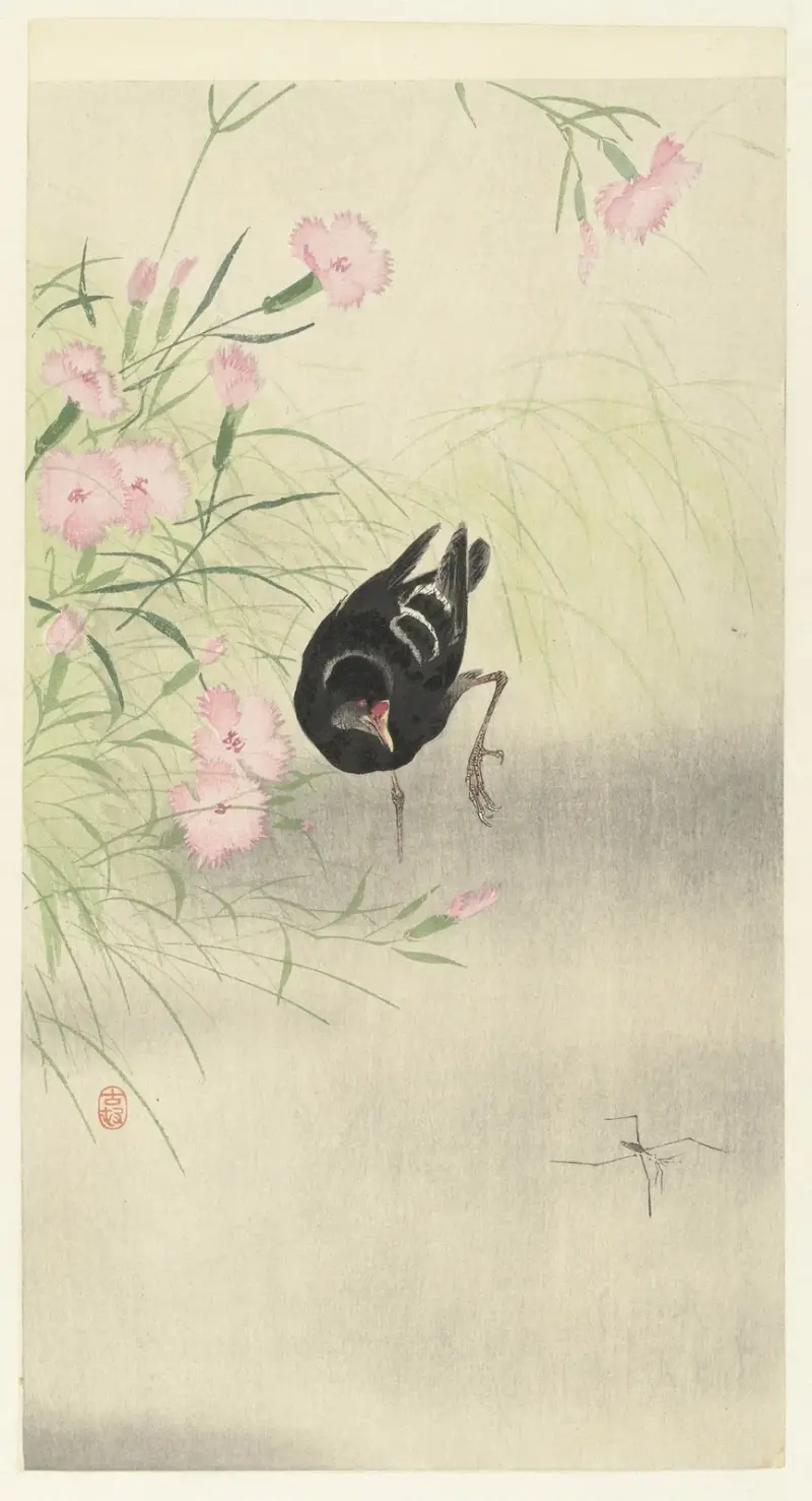 Slípka u kvetoucí rostliny, Ohara Koson