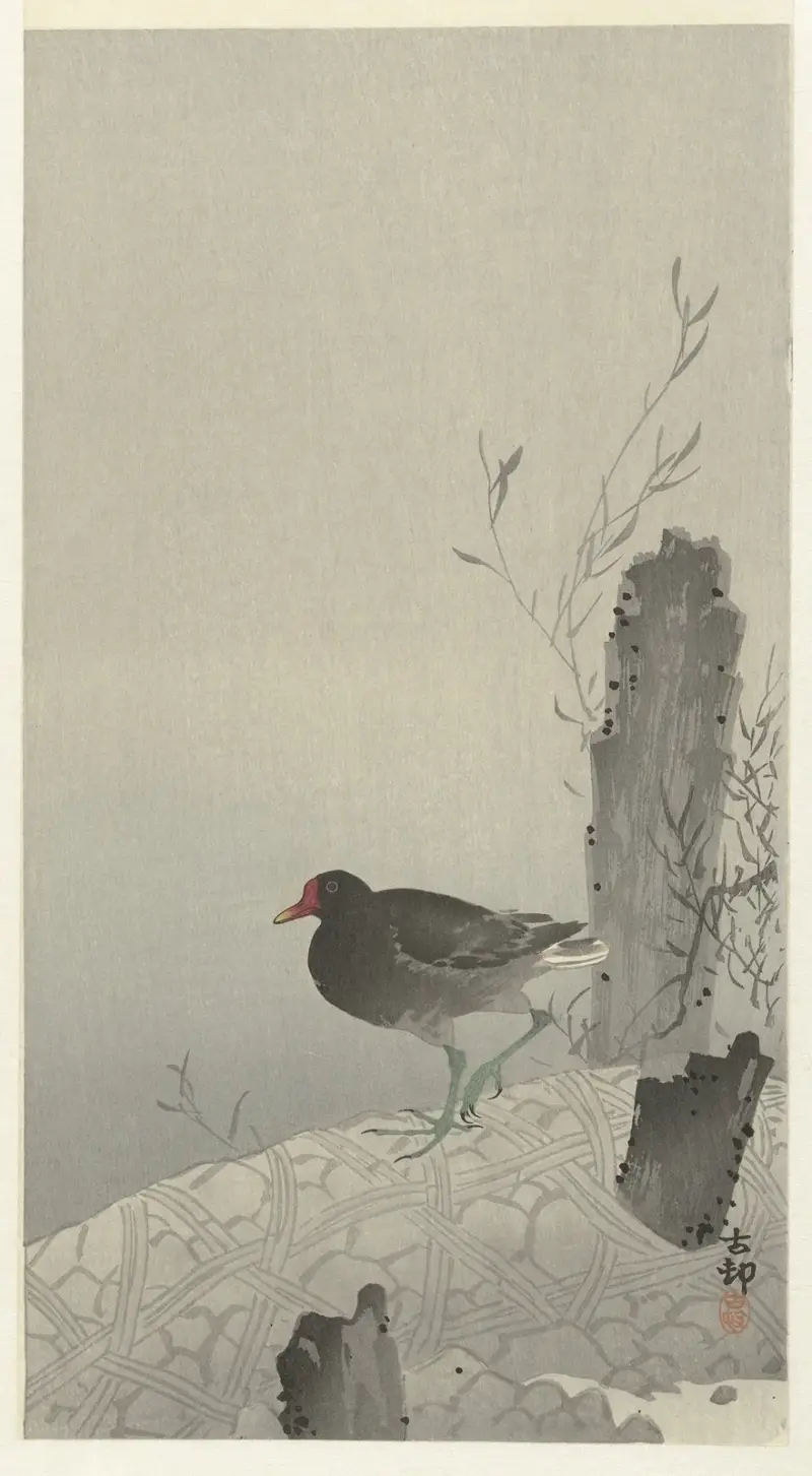 Slöja, Ohara Koson