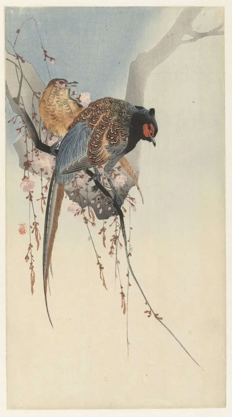 Bažantí pár a švestkový květ, Ohara Koson