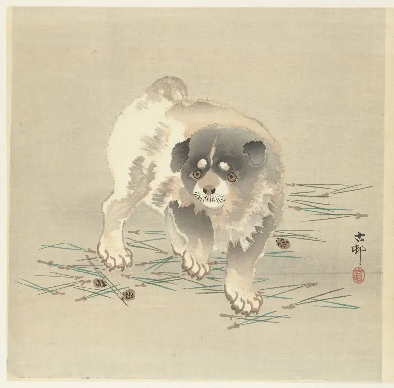 Štěně, Ohara Koson