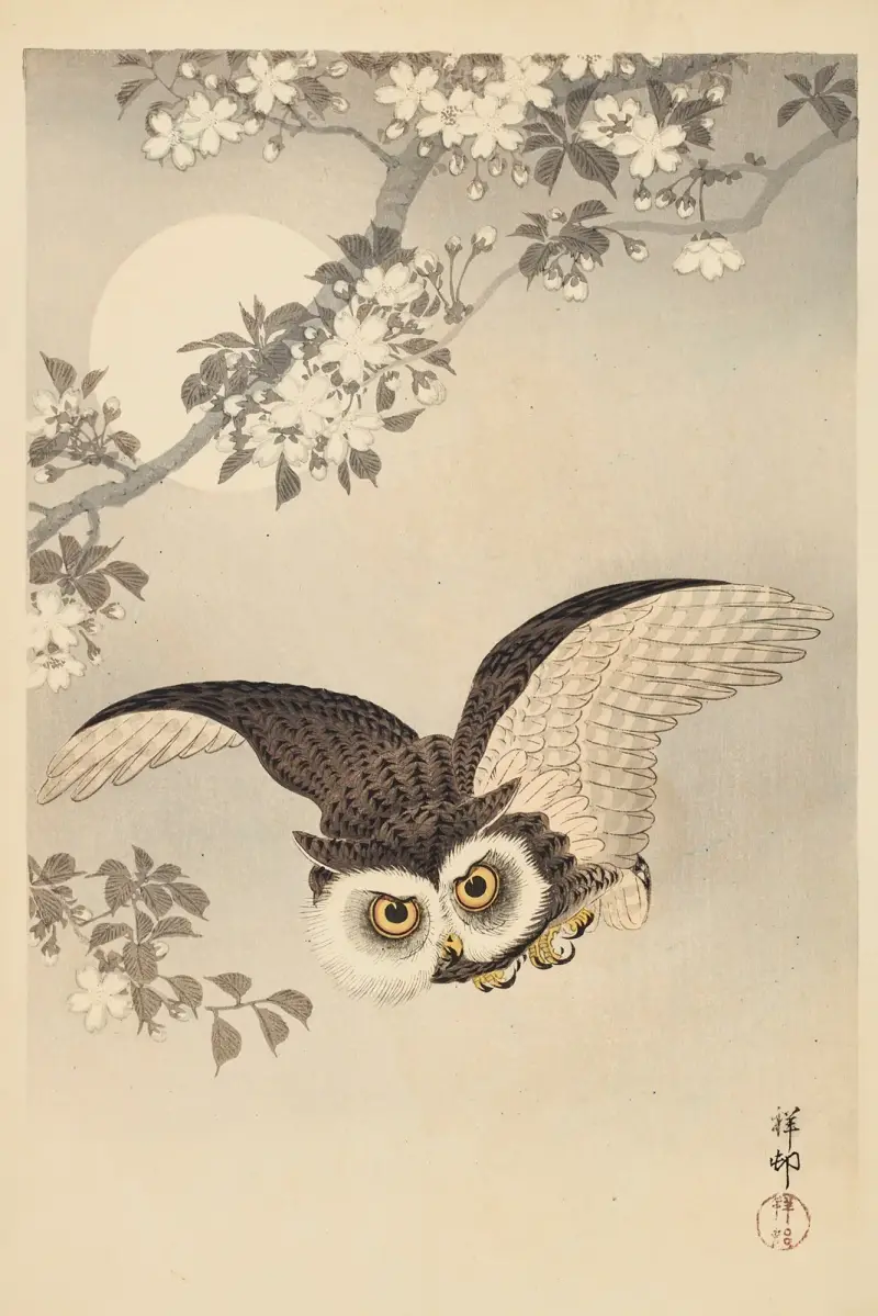 Sova, třešňové květy a měsíc, Ohara Koson