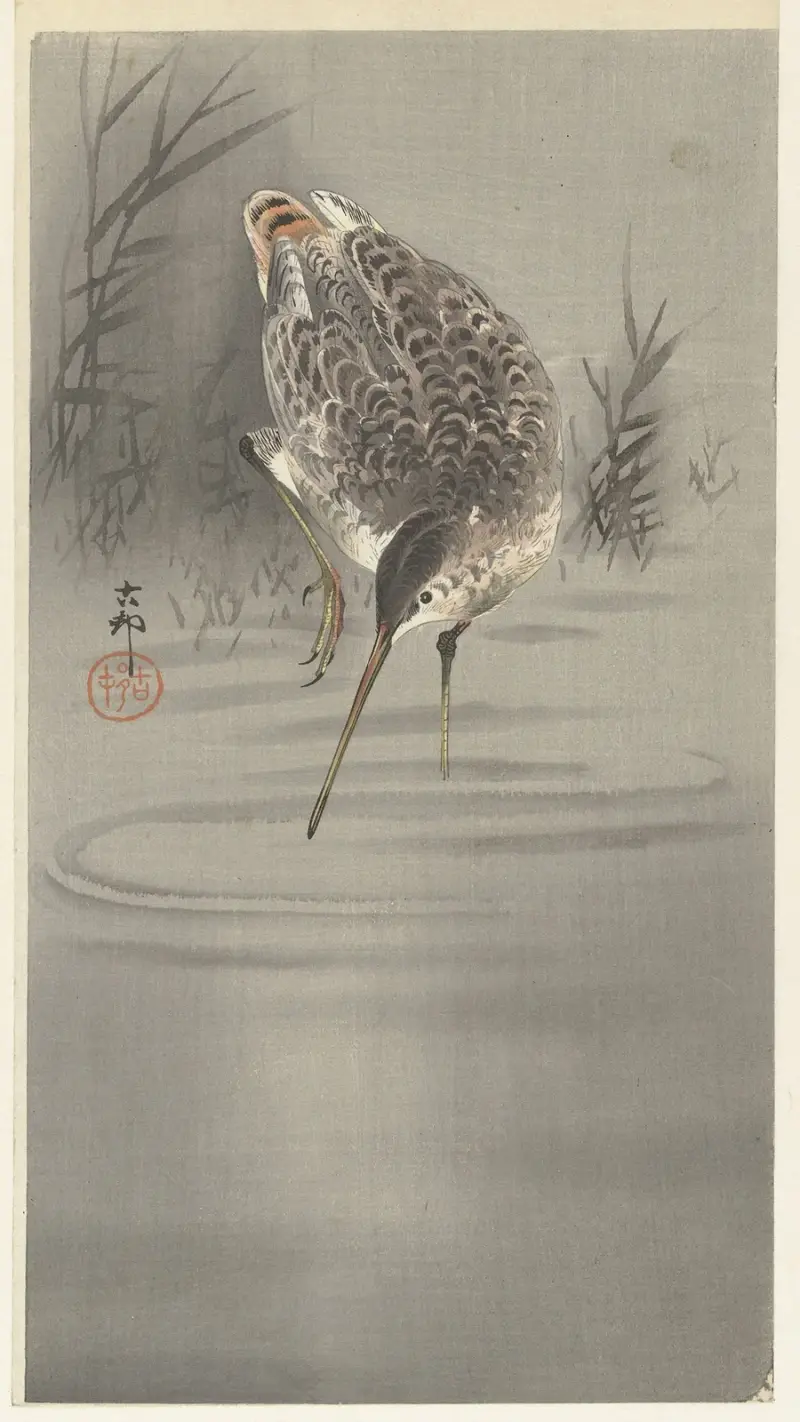 Sluka ve vodě, Ohara Koson