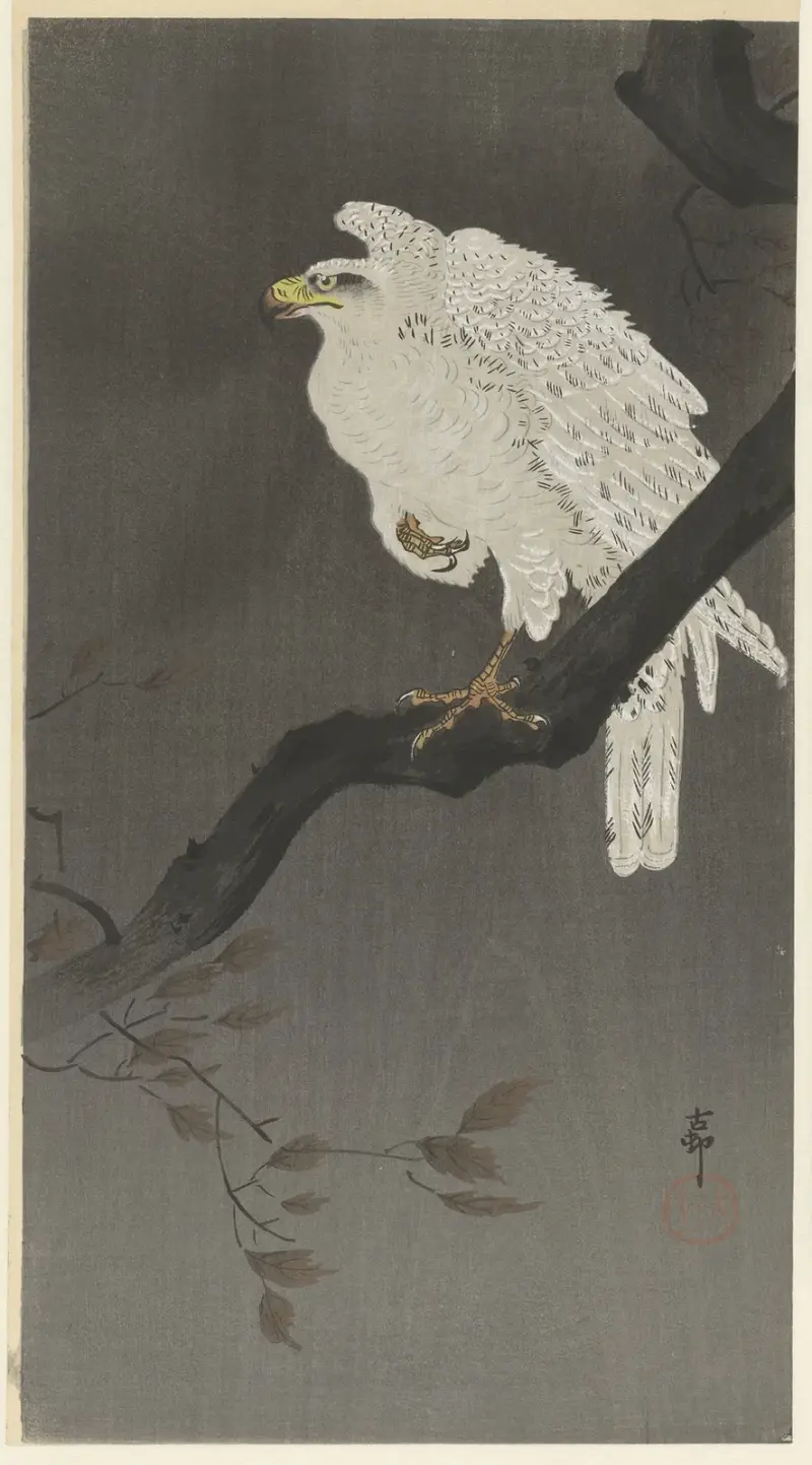Sněžný orel na větvi stromu, Ohara Koson