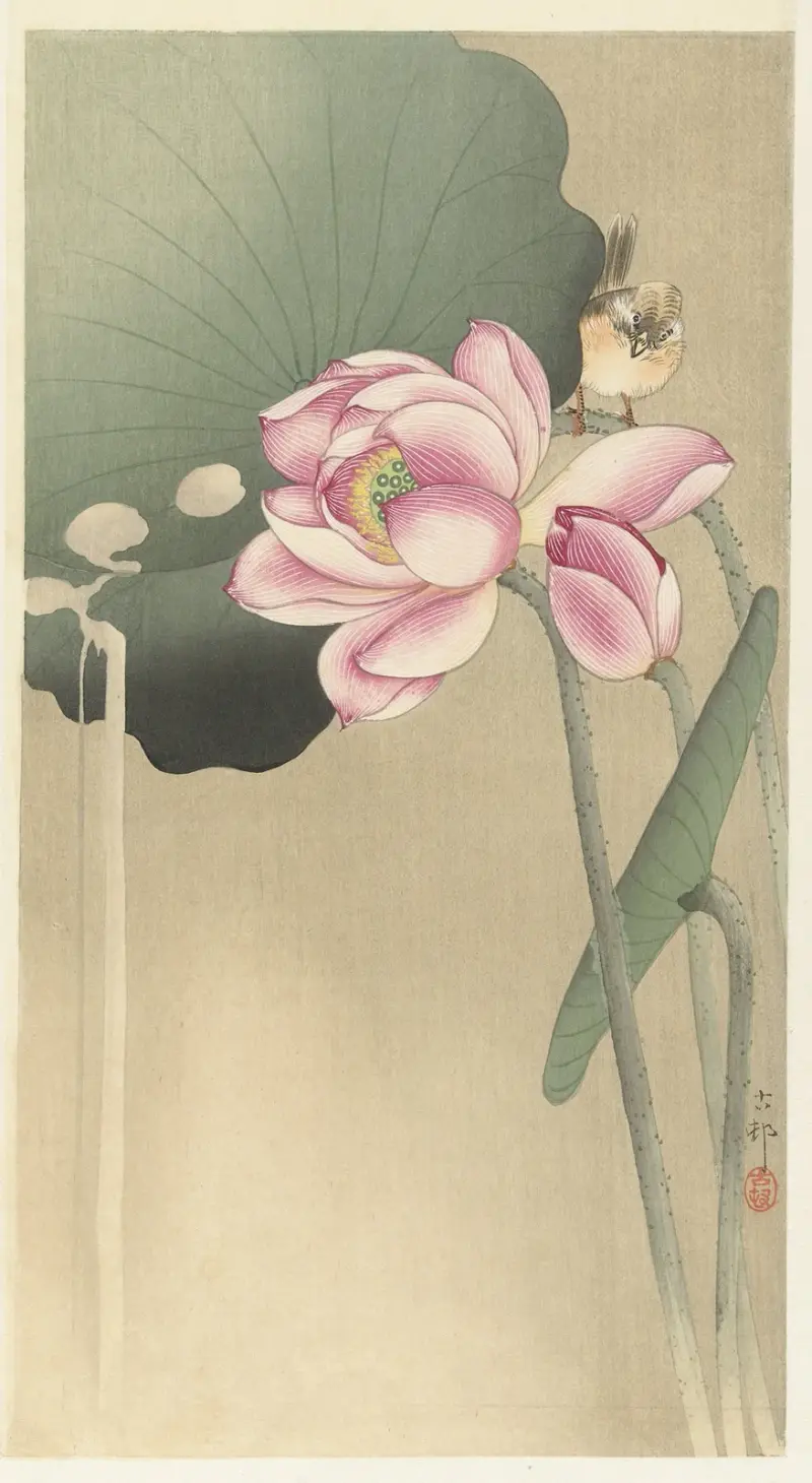 Sångfågel och lotus av Ohara Koson