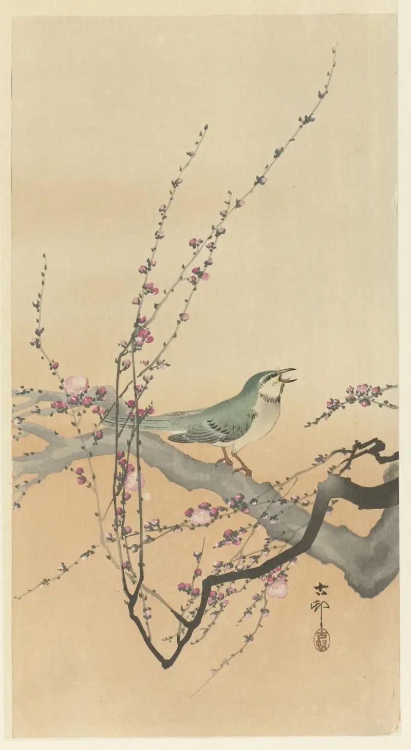 Zpěvný pták a švestkové květy, Ohara Koson