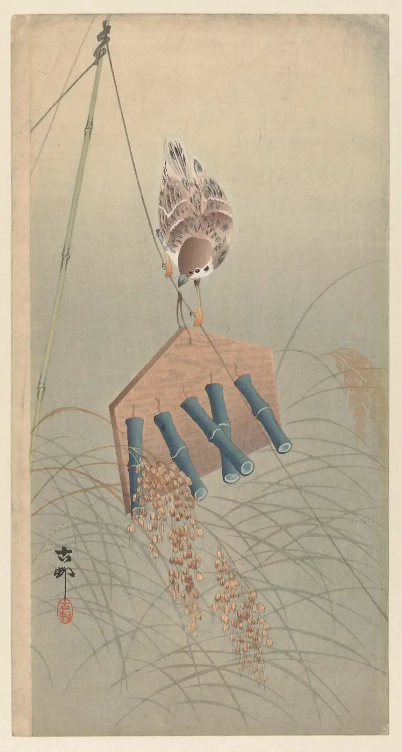 Vrabec, Ohara Koson