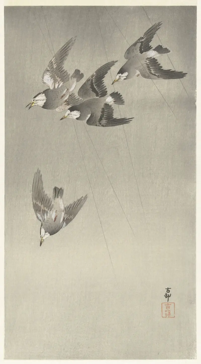 Špačci v dešti, Ohara Koson