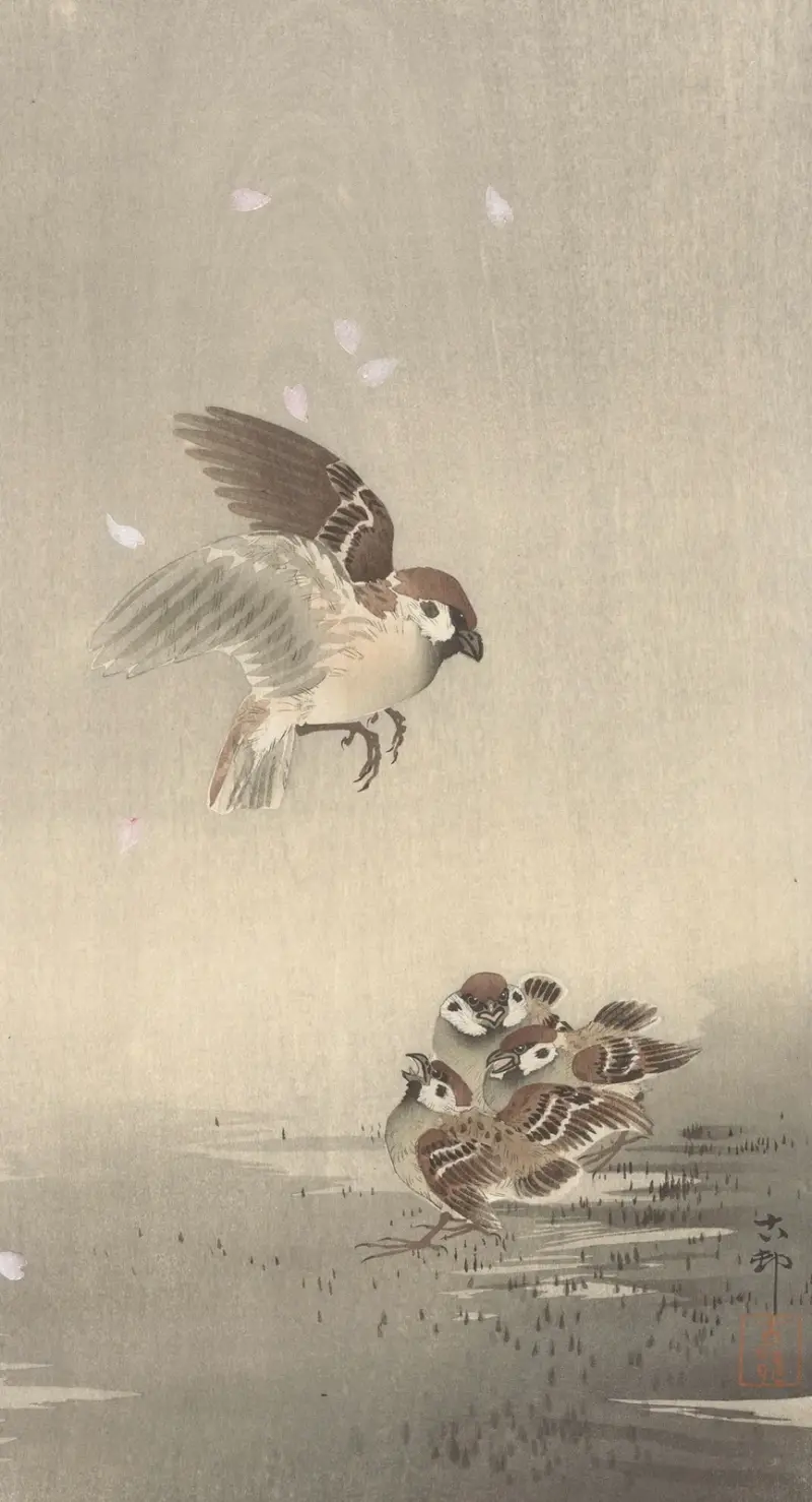 Vrabec polní s mládětem, Ohara Koson