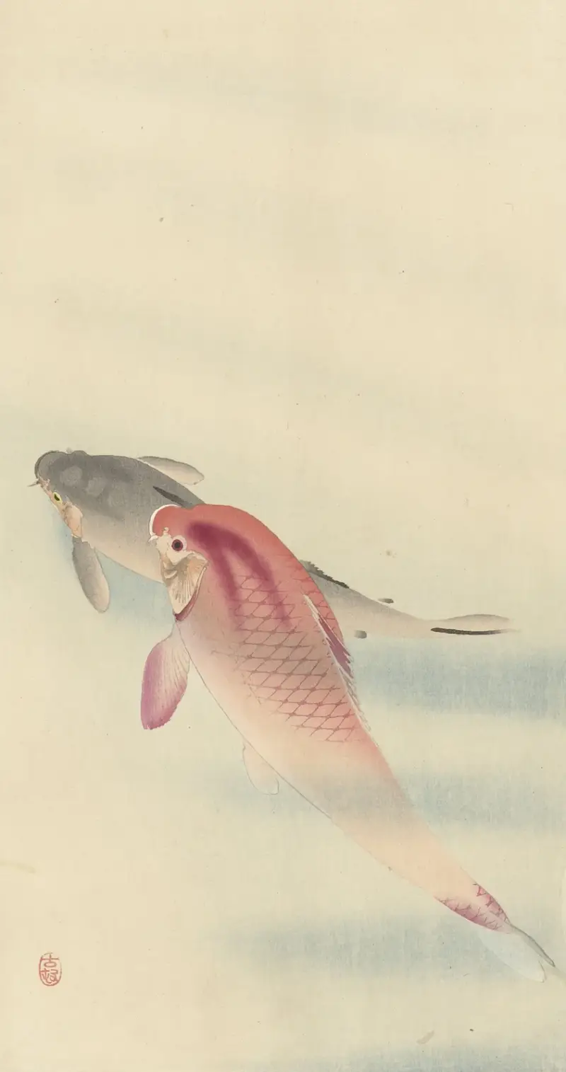 Dva kapři, 1900 – č. 1, Ohara Koson