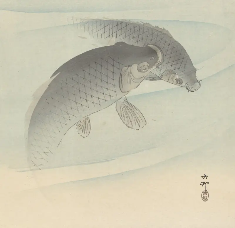 Dva kapři, 1900 – č. 3, Ohara Koson