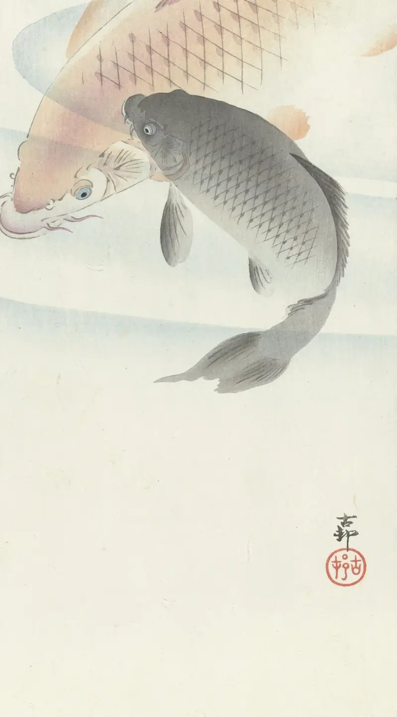 Dva kapři, 1900 – č. 2, Ohara Koson