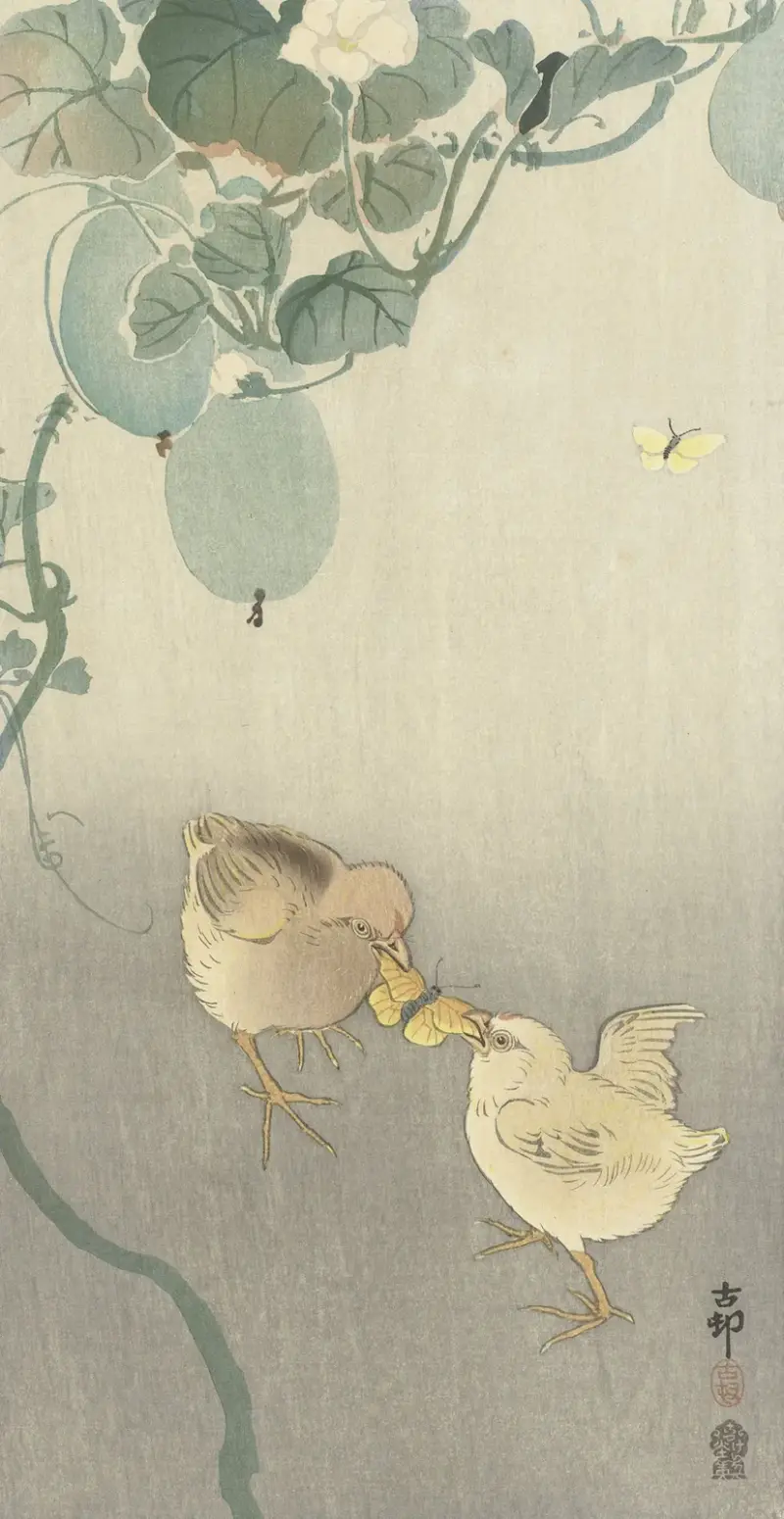 Dvě kuřátka bojující o motýla, Ohara Koson