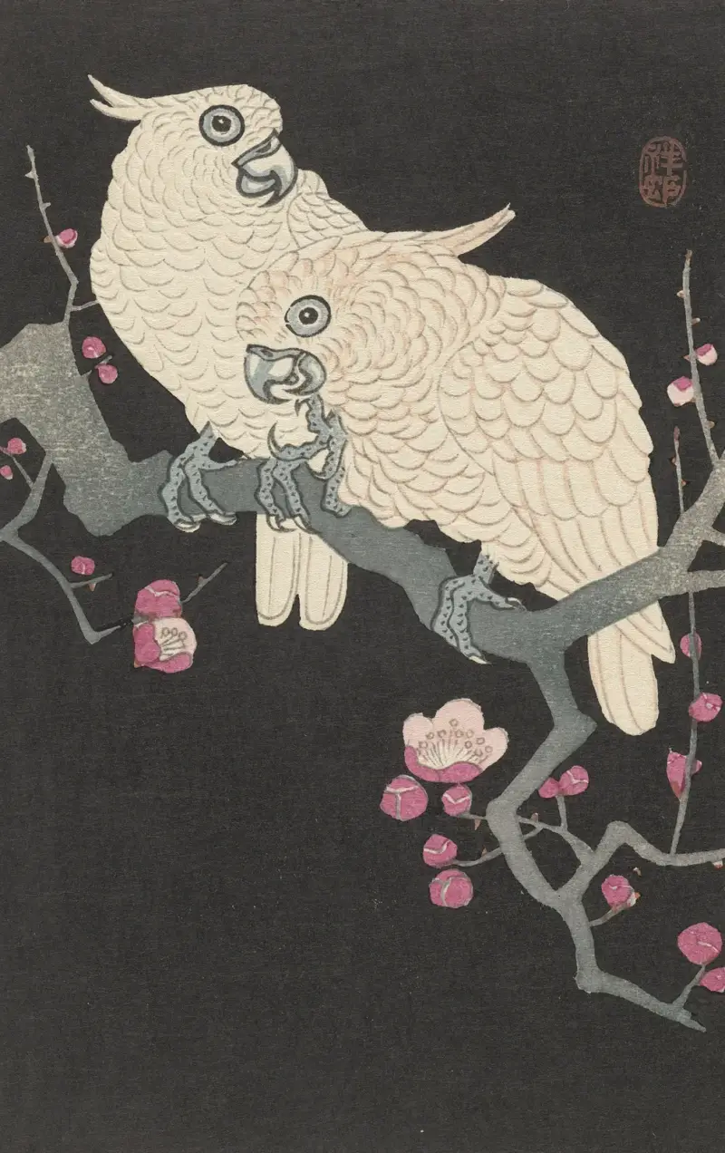 Dva kakadui a švestkové květy, Ohara Koson