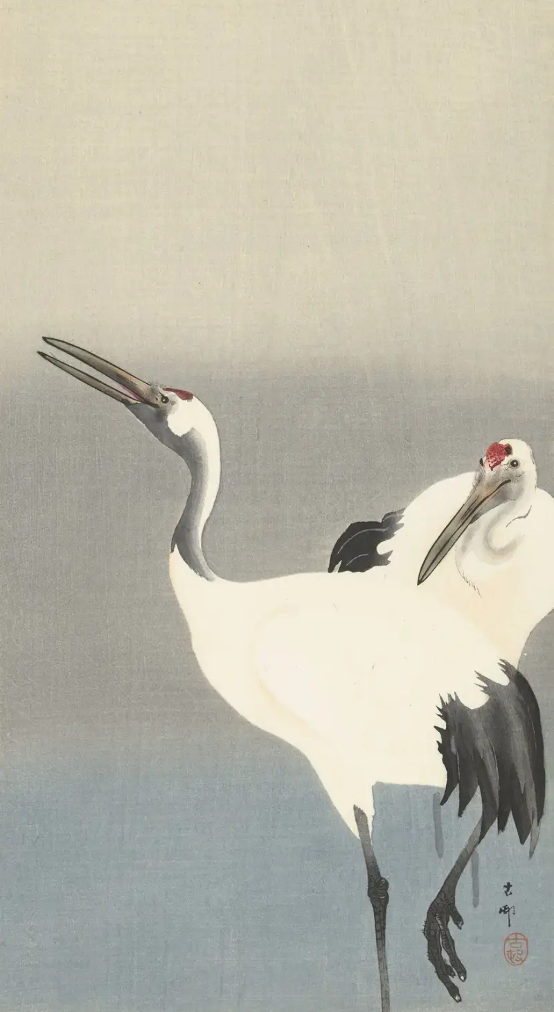 Dva jeřábi, 1900, Ohara Koson