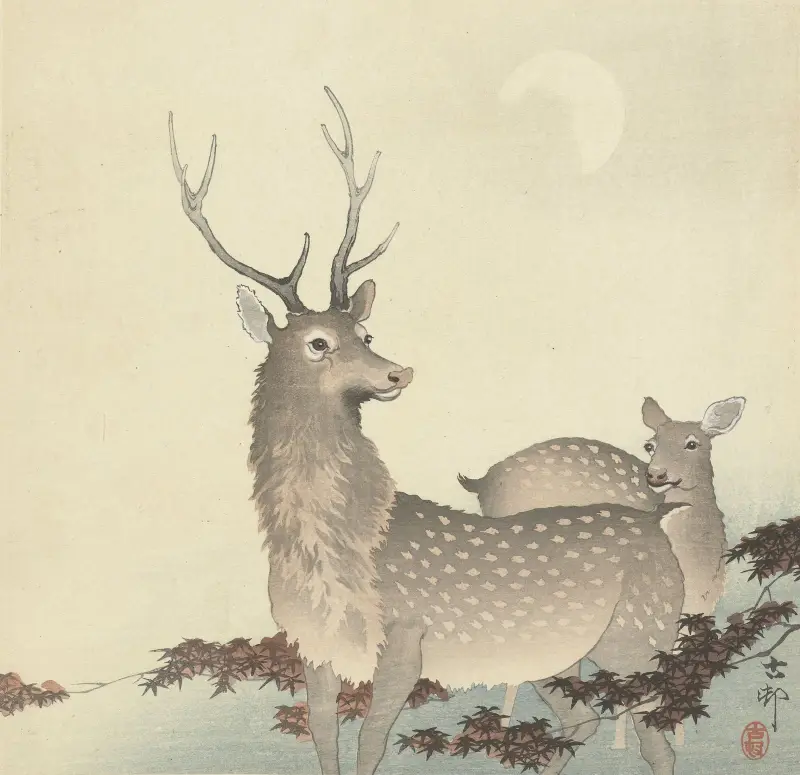 Dva jeleni, Ohara Koson