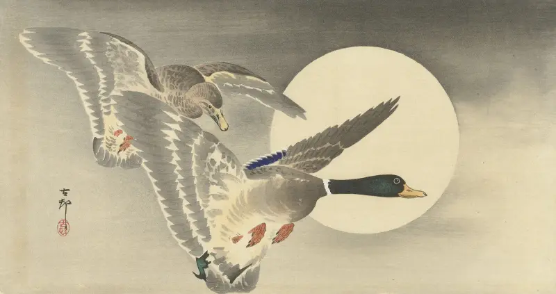 Dvě kachny při úplňku, Ohara Koson