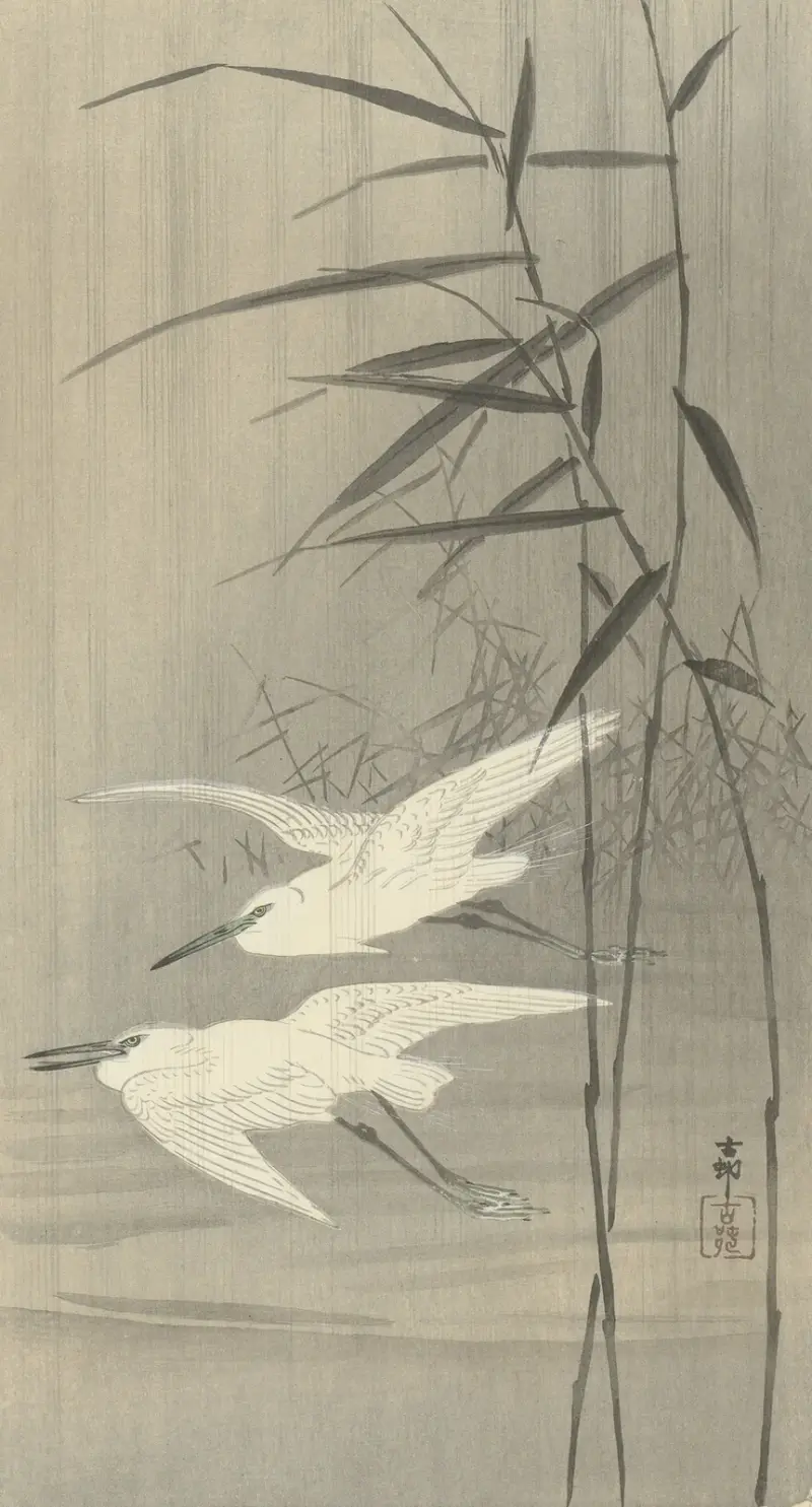 Dva volavky v letu, Ohara Koson