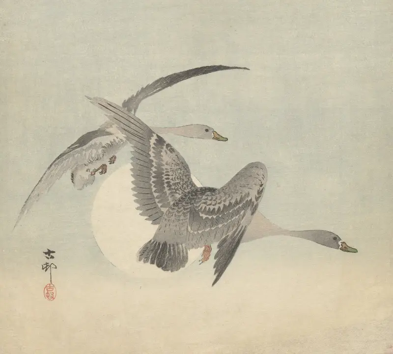 Dvě letící husy, Ohara Koson