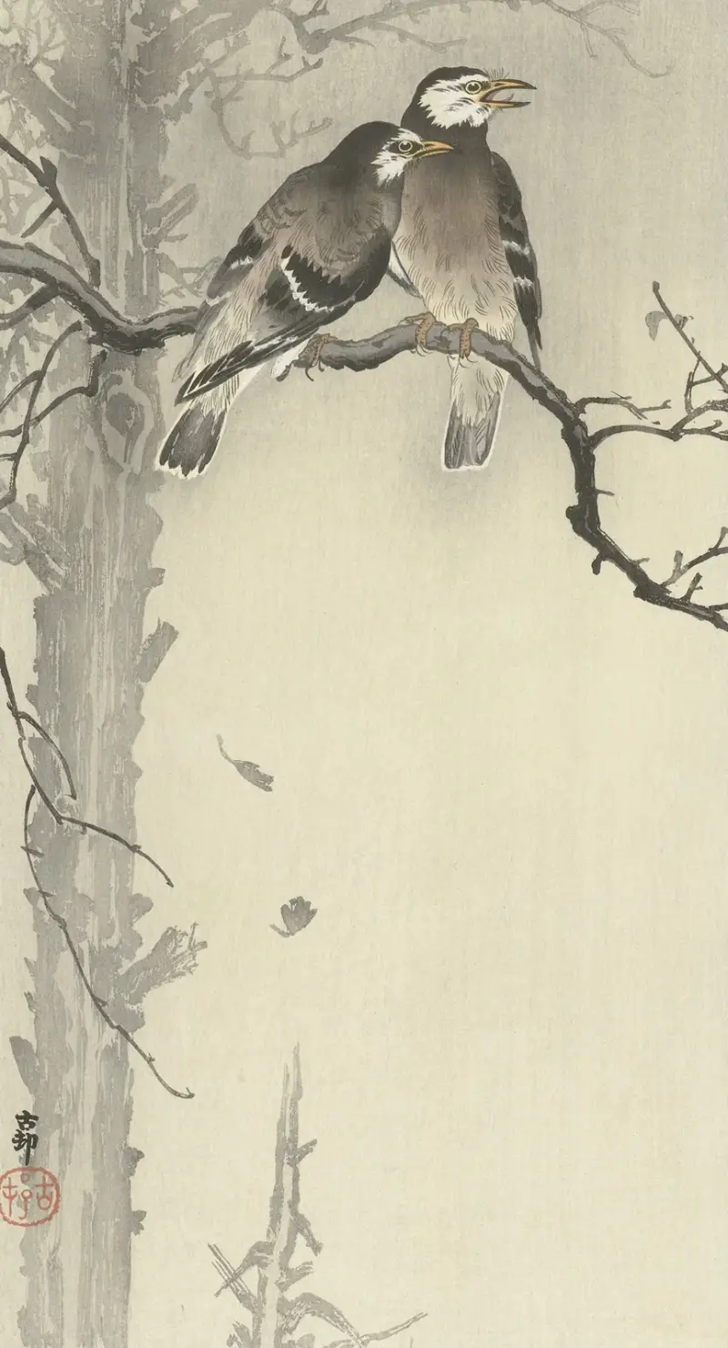 Dva šedí špačci, Ohara Koson