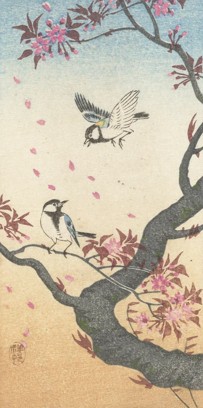 Dvě sýkory koňadry u kvetoucího stromu, Ohara Koson
