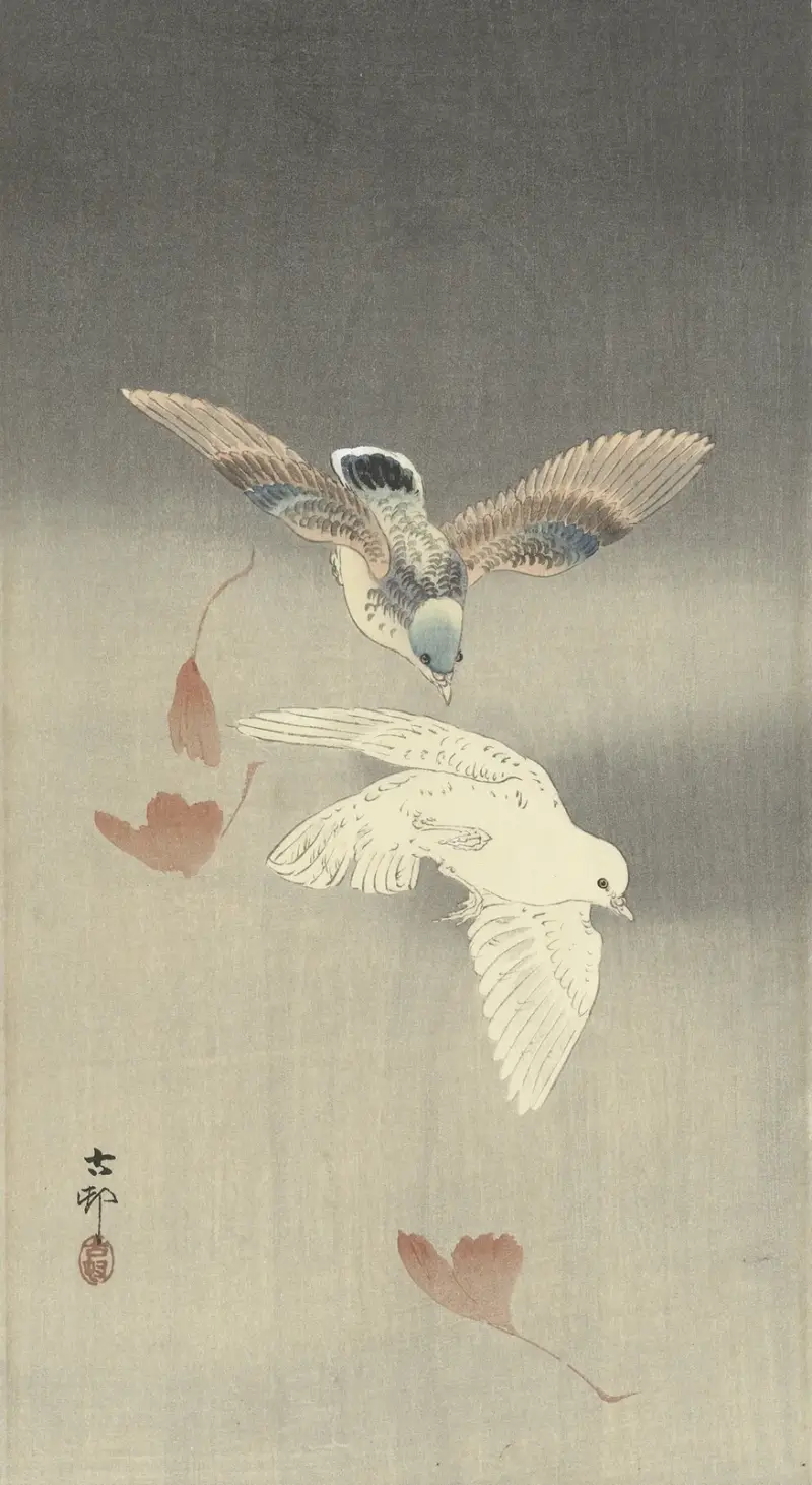 Dvě holubi s padajícími listy ginkga, Ohara Koson
