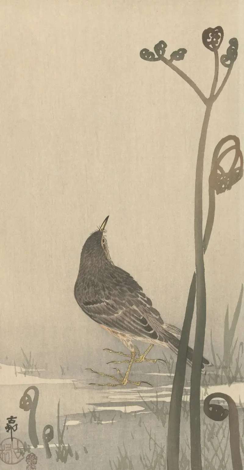 Vodní pískající pták, Ohara Koson
