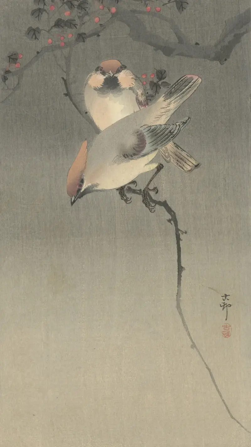 Sidensvansar, Ohara Koson