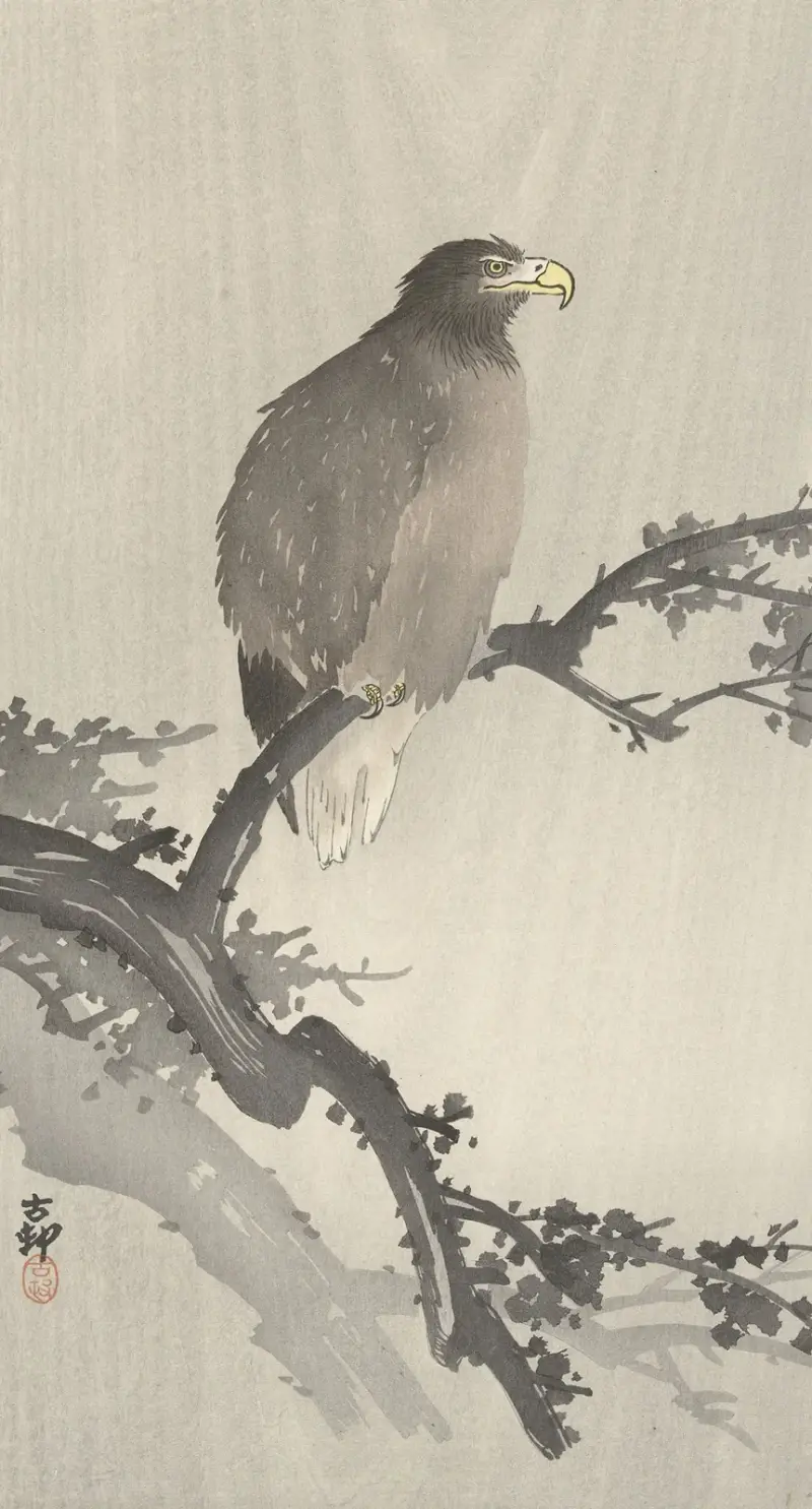 Orlovec říční na větvi, Ohara Koson