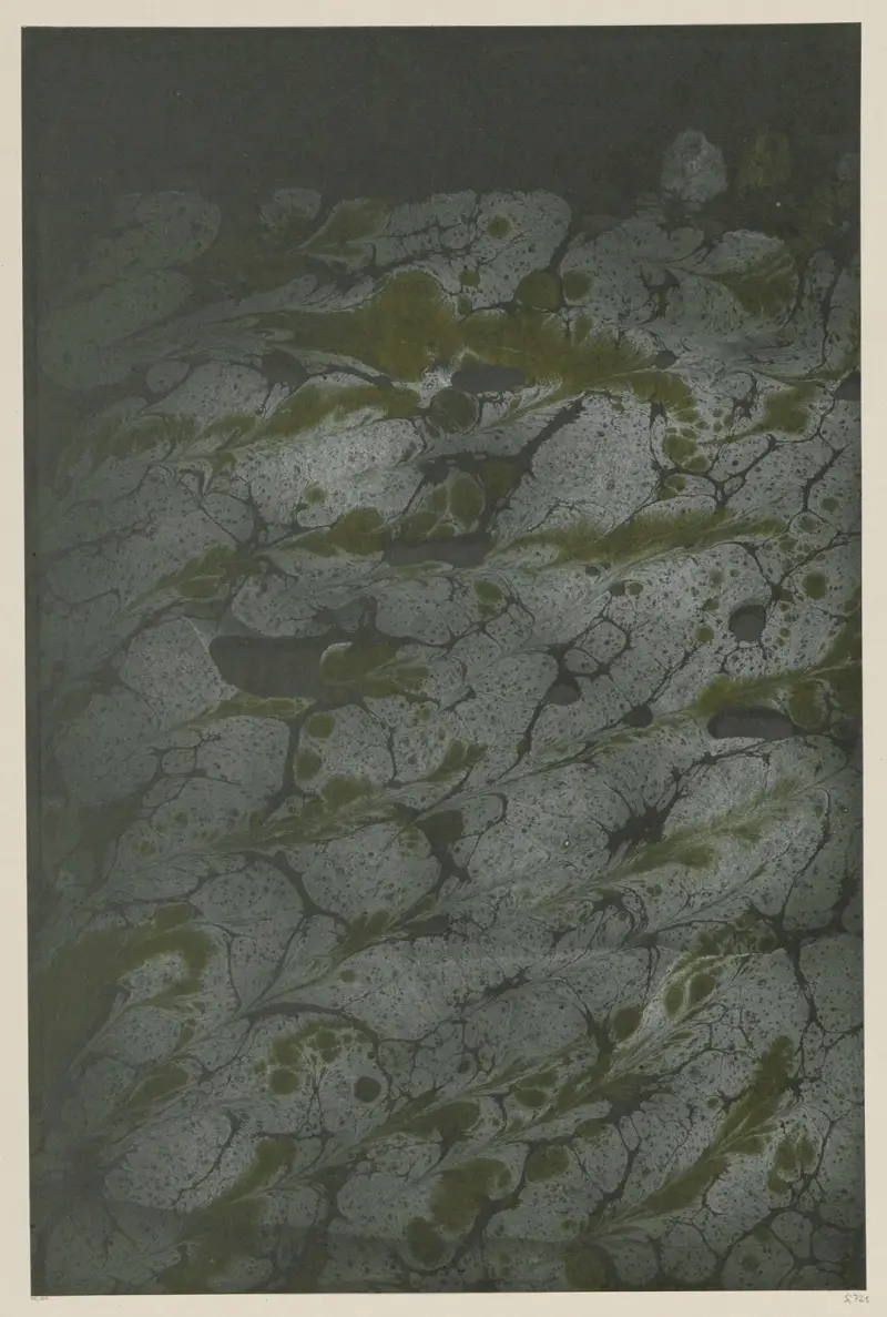 Mramorový papír, 1894 – Nr. 12, Otto Eckmann