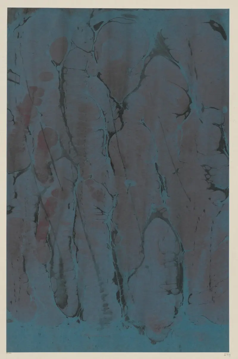 Mramorový papír, 1894 – Nr. 15, Otto Eckmann