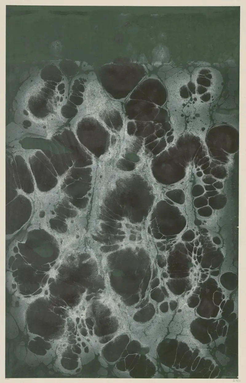 Mramorový papír, 1894 – Nr. 16, Otto Eckmann