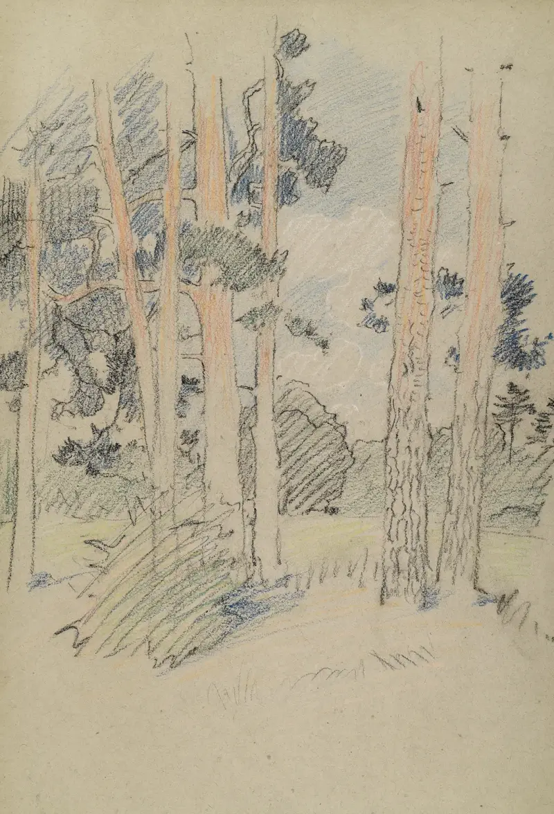 Studie přírody s borovicemi, Otto Eckmann