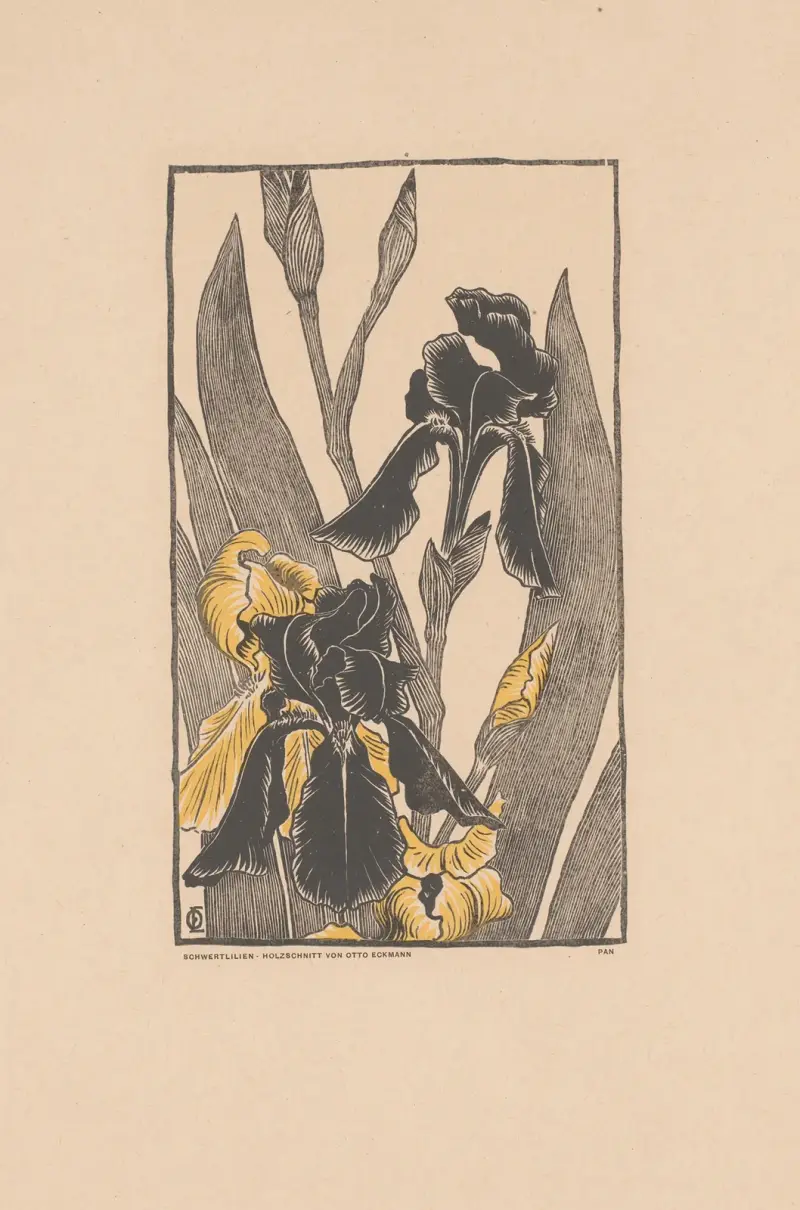 Kosatce, Otto Eckmann