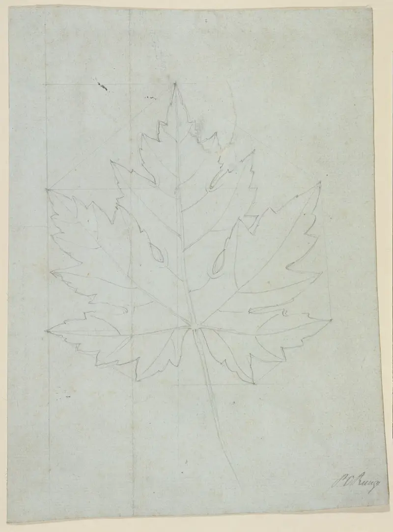 Javorový list, Philipp Otto Runge