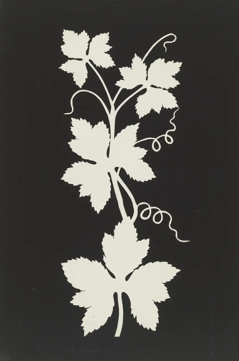 Vinné listy, Philipp Otto Runge