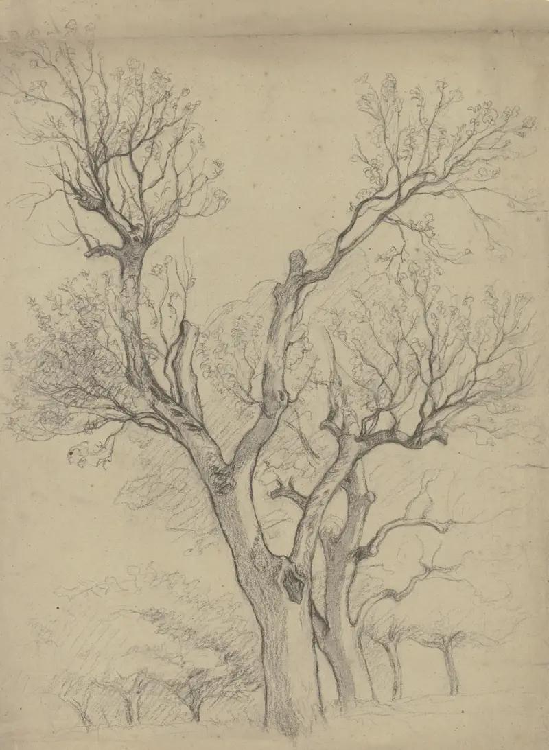 Kahles Baumpaar von Otto Scholderer