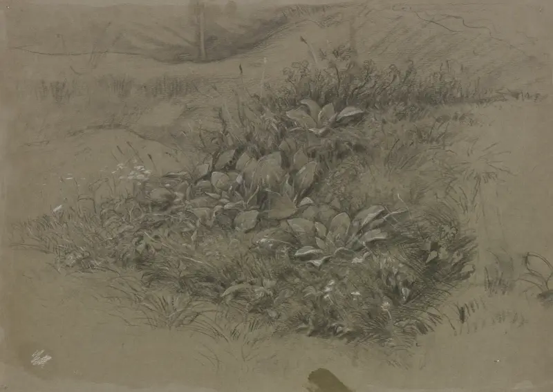 Pflanzenstudie in Wiesenlandschaft von Otto Scholderer