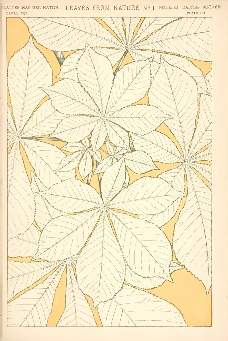 Leaves from Nature No. 1 av Owen Jones