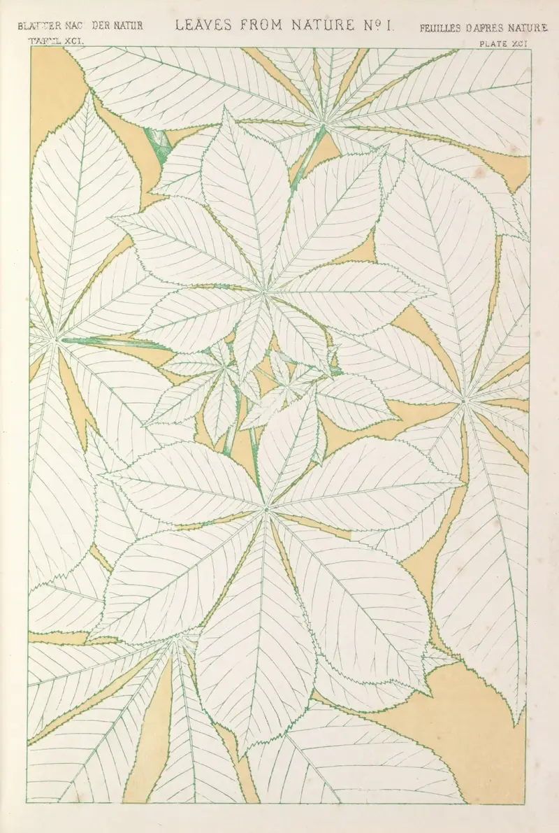 Blad från naturen nr 1 av Owen Jones