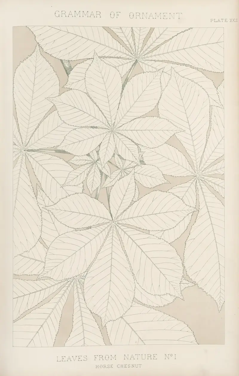 Leaves from Nature No. 1 av Owen Jones