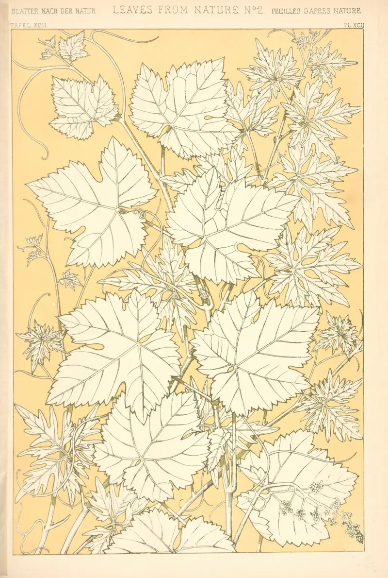 Blad från naturen nr 2 av Owen Jones