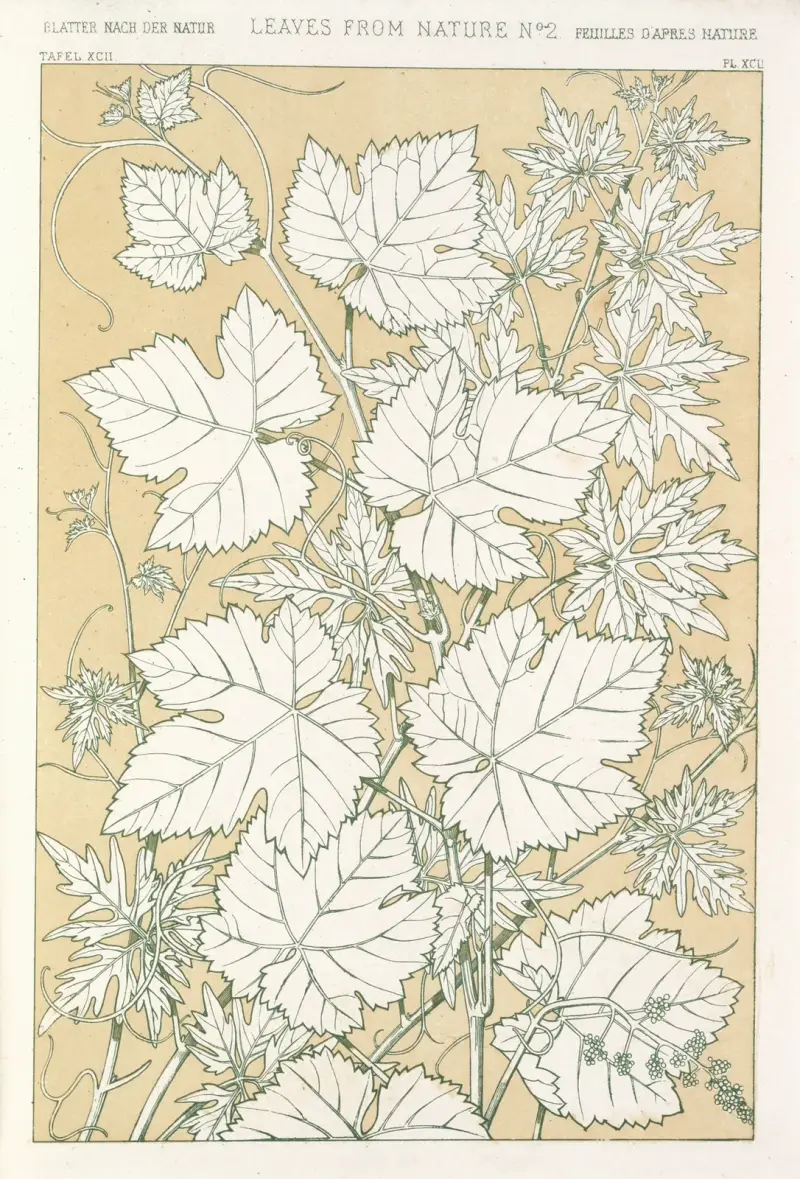 Blad från naturen nr 2 av Owen Jones