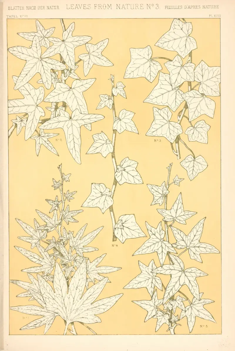 Blad från naturen nr 3 av Owen Jones