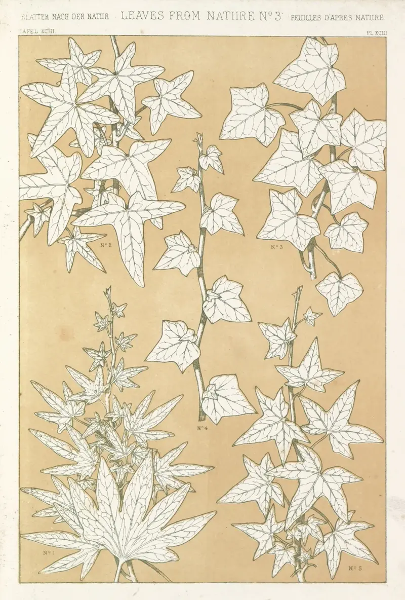 Leaves from Nature No.3 av Owen Jones